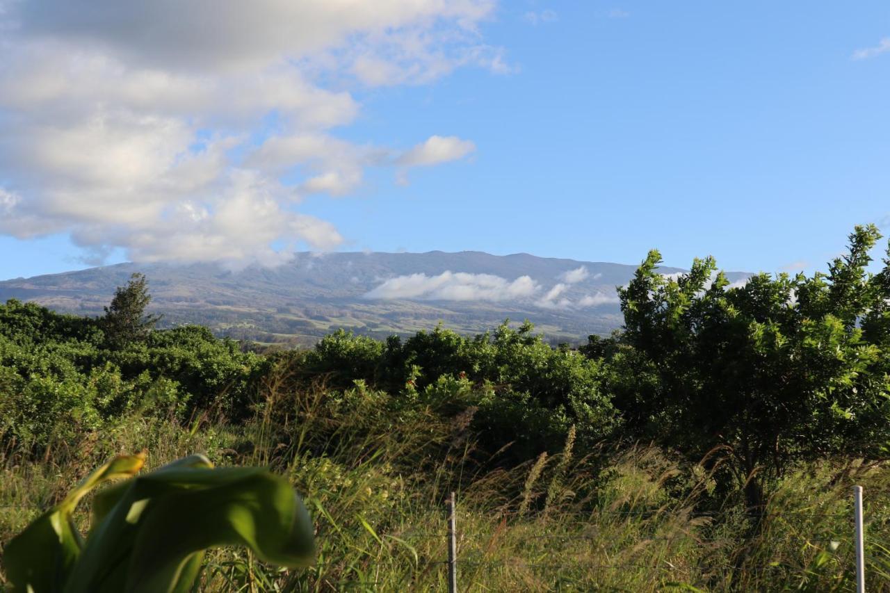 God'S Peace Of Maui Acomodação com café da manhã Makawao Exterior foto