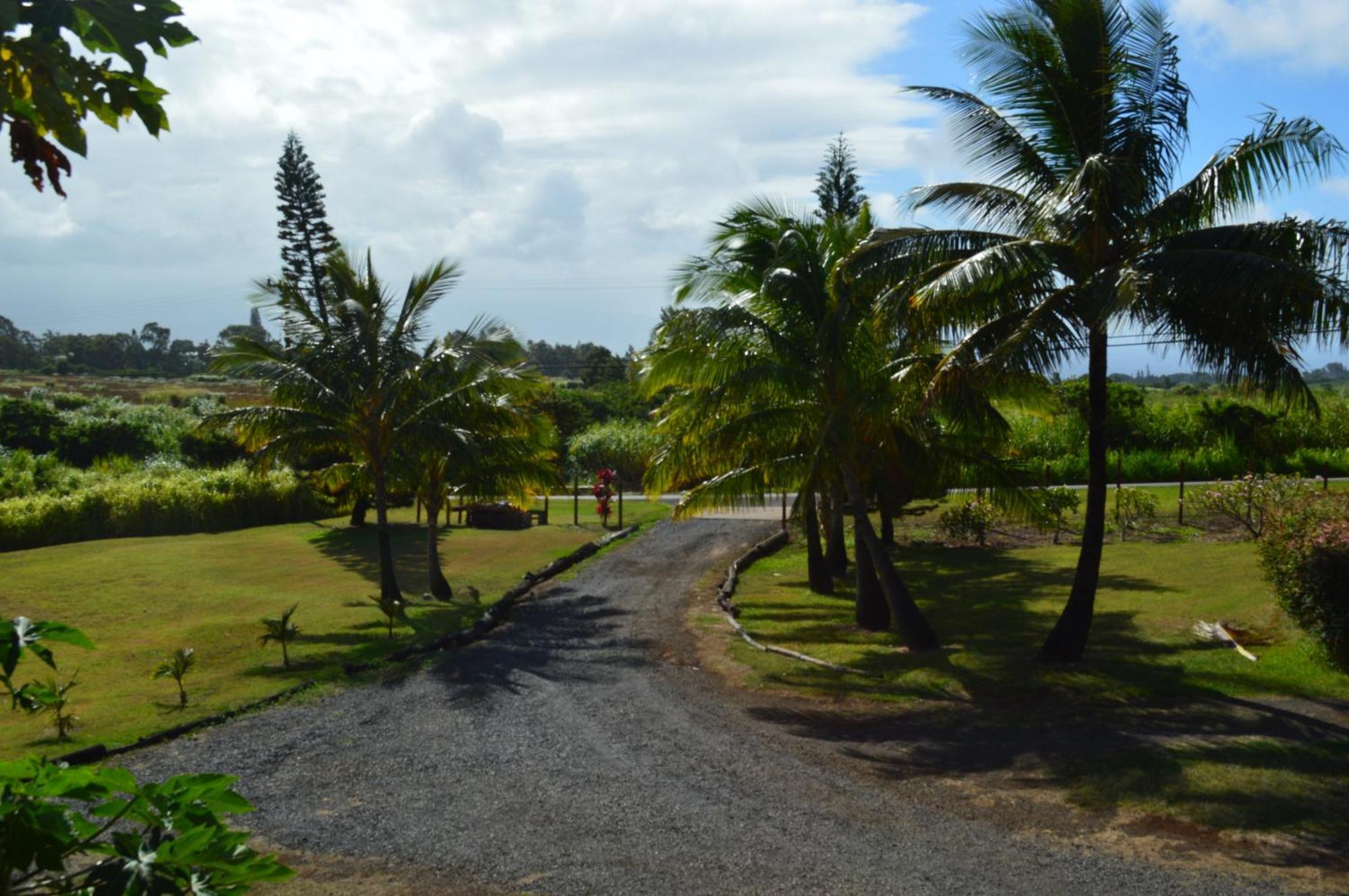 God'S Peace Of Maui Acomodação com café da manhã Makawao Quarto foto